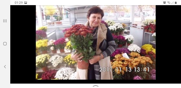  -,   , 72 ,   ,   , c 