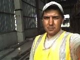  ,   GOLD LION, 51 ,   ,   , c 