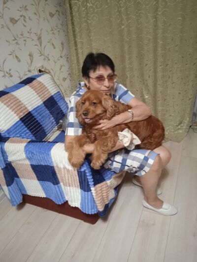  ,   , 65 ,   c , 