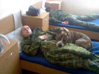 ���������� ������, ���� ������� Semen, 38 ���, ������������ ��� ������, ����� � ���������, c�������� ���������