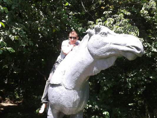  ,   Max, 38 ,   ,   , c 