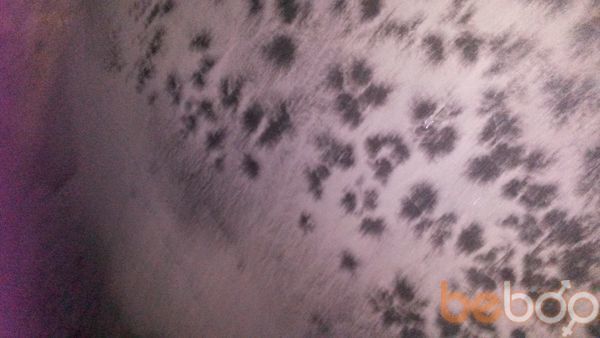 ���������� �����, ���� ������� �����, 40 ���, ������������ ��� ������, ����� � ���������, c�������� ���������