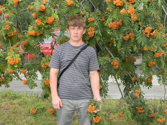  ,   , 46 ,   ,   