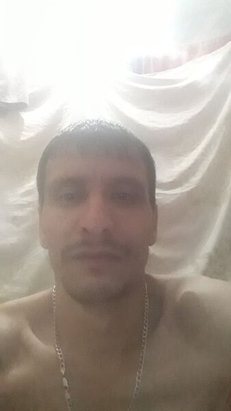  -,   , 38 ,   ,   