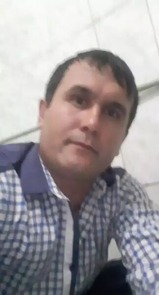  ,   ALONON, 41 ,   ,   