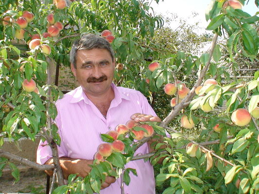  ,   , 58 ,   ,   , c 