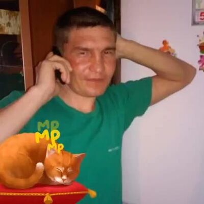  -,   , 44 ,   