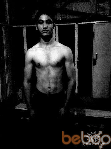  ,   Pucccox, 33 ,   ,   , c 