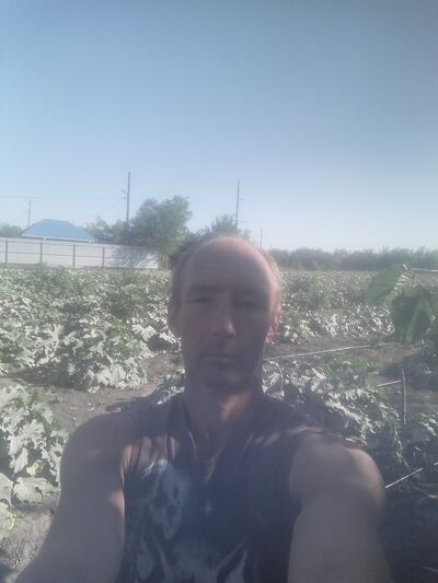  -,   , 45 ,  