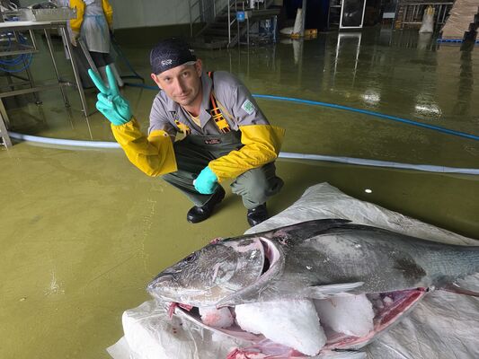  ,   Yury, 39 ,   ,   , c 