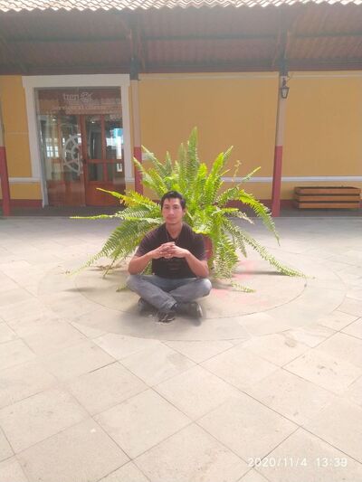  Quito,   Heygen, 36 ,   ,   , c 