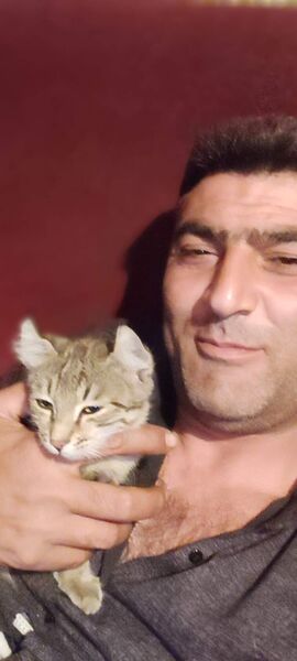  ,   Raqif, 40 ,   ,   