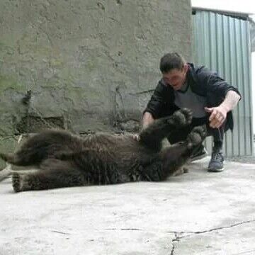  ,   Vova, 44 ,   ,   , c , 