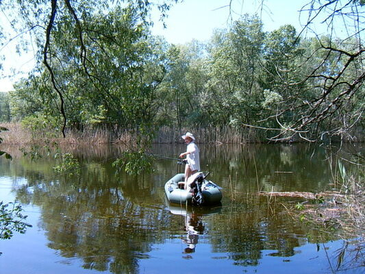  ,   , 55 ,     , c , 