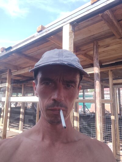  ,   , 38 ,  