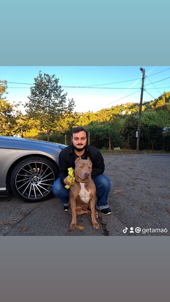  ,   Gegi, 29 ,   ,   