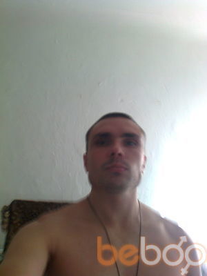  3929959  , 40 ,    