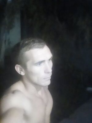  17668629  , 29 ,    
