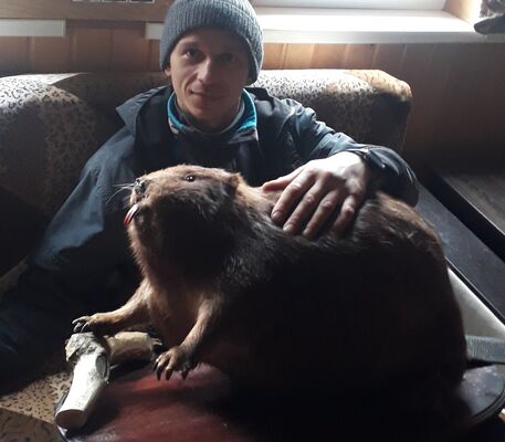  ,   Rom, 43 ,   ,   , c 