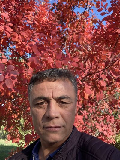  ,   , 52 ,   ,   
