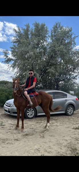  ,   Baga, 34 ,  