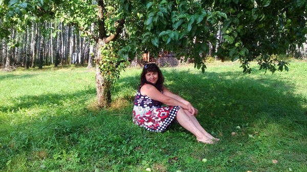  ,   , 48 ,  