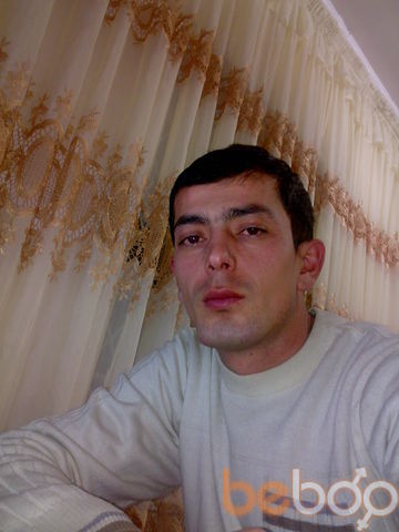  ,   Delux, 41 ,   