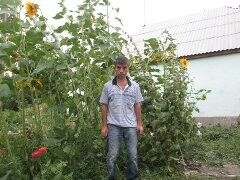  ,   , 55 ,     , c 