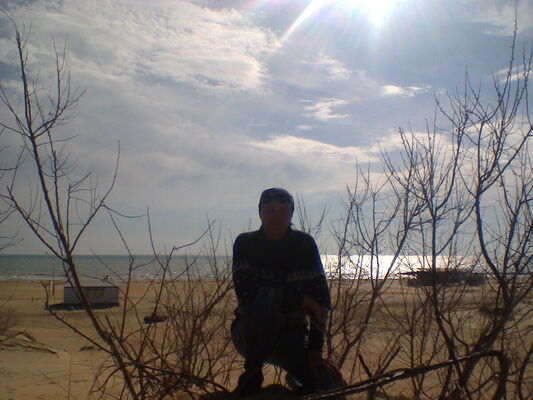  ,   , 50 ,  