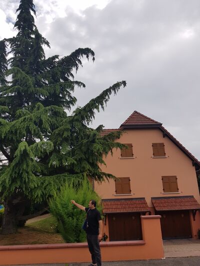  Algolsheim,   M Mirzoev, 35 ,     , c 