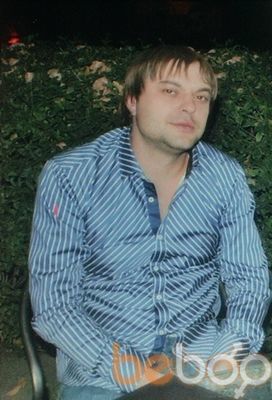  ,   Cat, 40 ,   