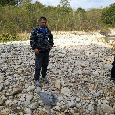  -,   , 38 ,   ,   , c 