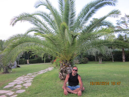  ,   Xusen, 49 ,   ,   , c , 