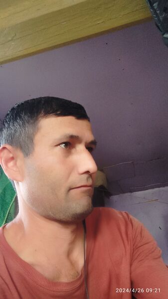  -,   Zulfipor, 40 ,   ,   