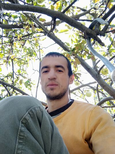  ,   , 29 ,   ,   , c , 
