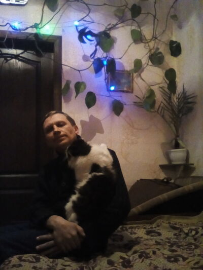  ,   , 53 ,   