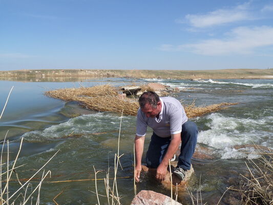  ,   , 61 ,   ,   , c , 