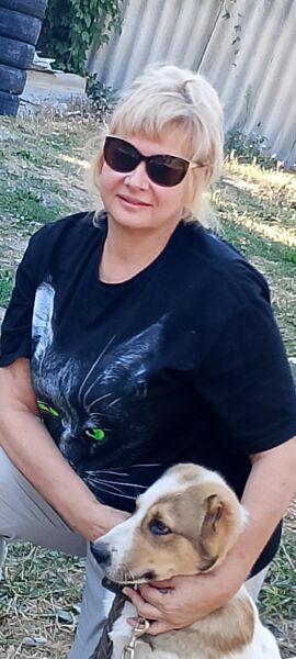  --,   , 53 ,   ,   , 