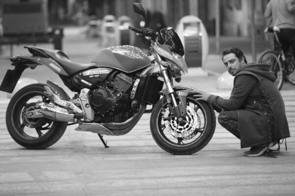  ,   Archi, 36 ,   ,   , 