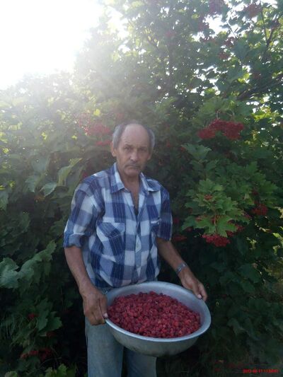  ,   , 53 ,   ,   , c , 