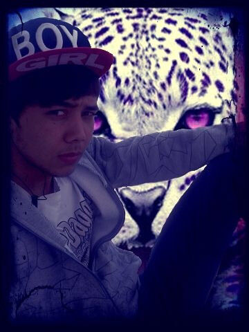 4508239  Bek4360323, 31 ,    