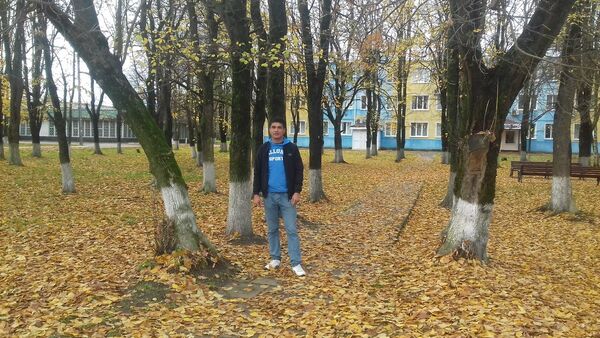  ,   Xamra, 40 ,   ,   , c 