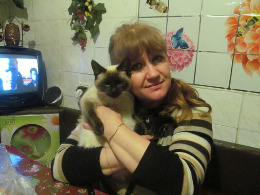  ,   , 61 ,   ,   , c 