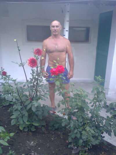  ,   , 74 ,  