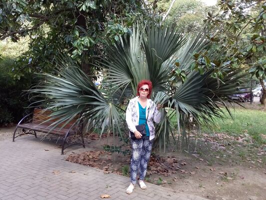  ,   , 64 ,     