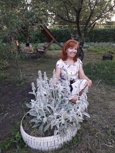   ,   , 73 ,   ,   