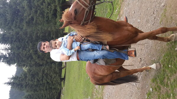  ,   Jonik8206, 43 ,   