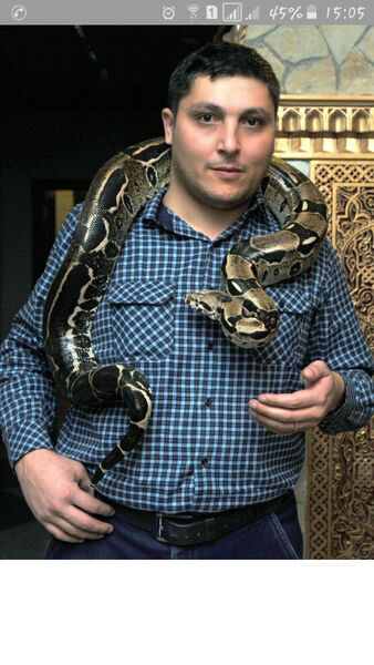  ,   Alek, 45 ,   ,   , c 