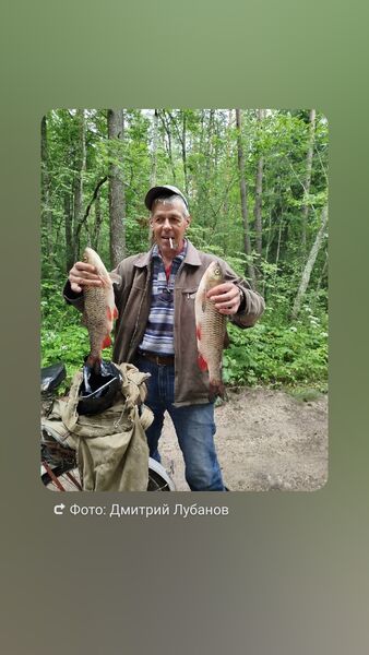  ,   Dmitry, 52 ,   ,   