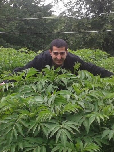  ,   Piter, 44 ,   